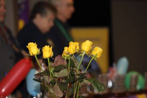 _MG_0585